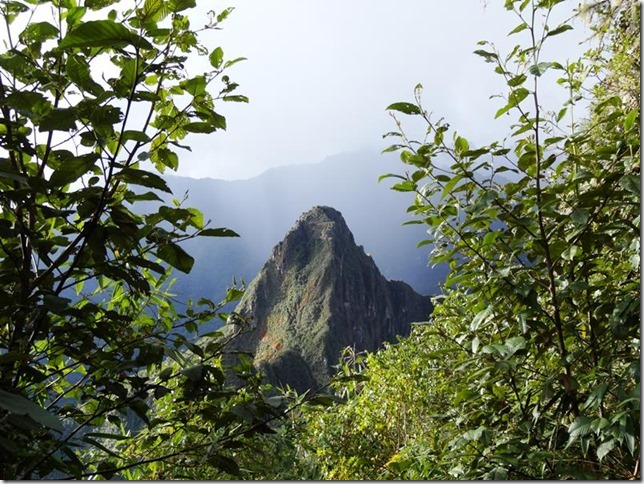 Machu_Picchu_DSC02289