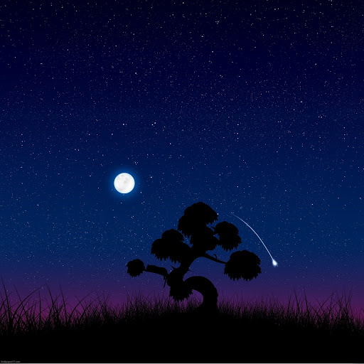 Hd-133300-ascw133300