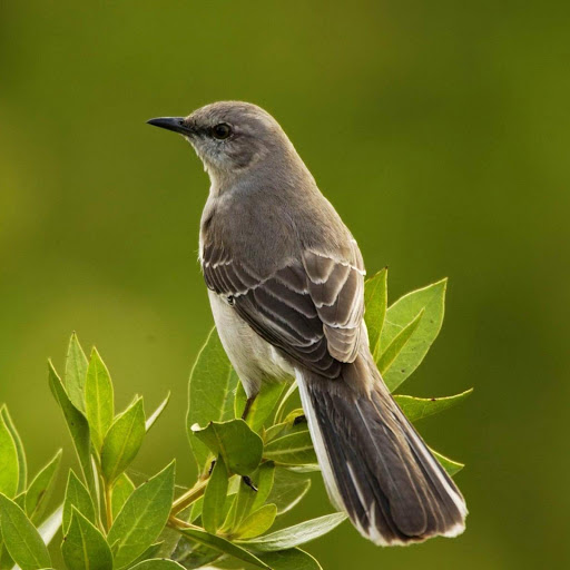 Hd-178866-ascw178866