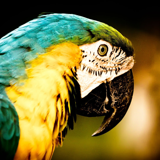 Hd-156166-ascw156166