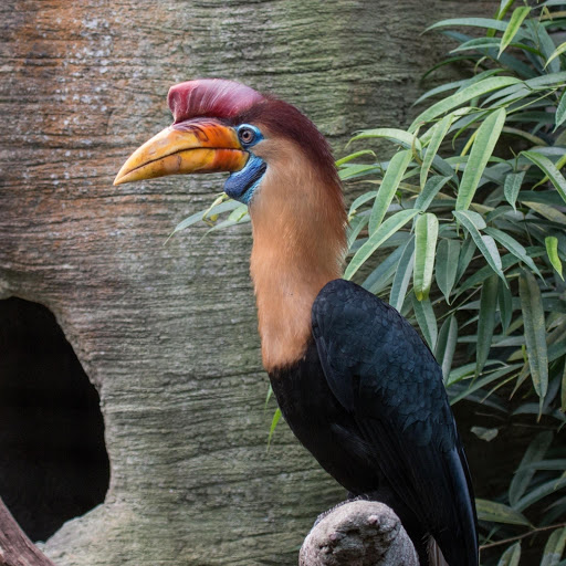 Hd-181170-ascw181170