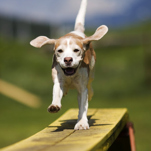 Hd-132126-ascw132126