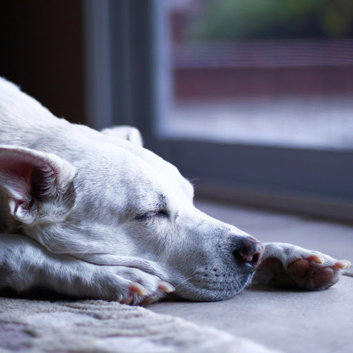 Hd-140831-ascw140831