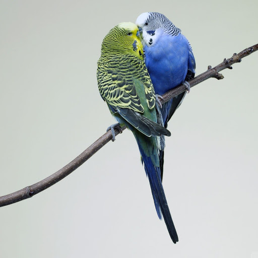 Hd-143789-ascw143789