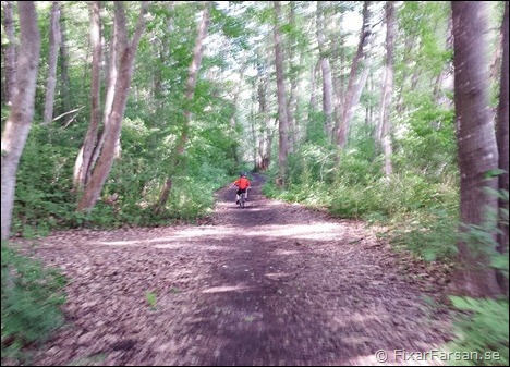 MTB-Cykling-Skogen-5åring