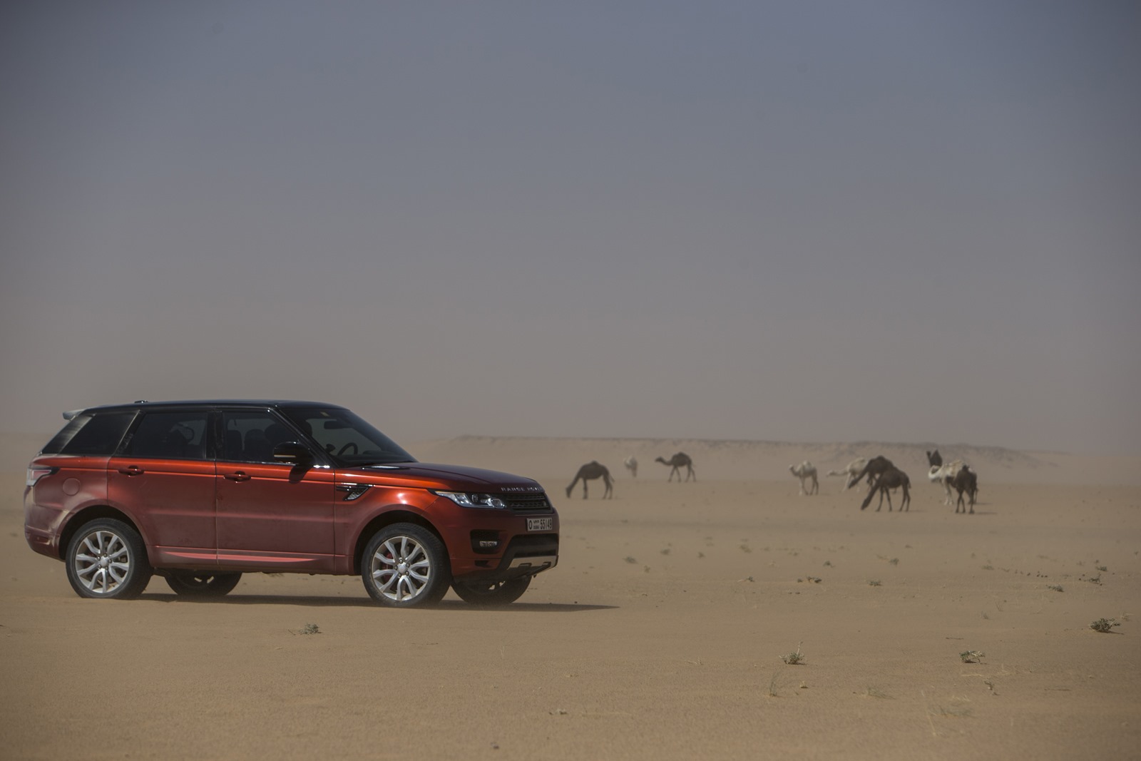 [Range-Rover-Sport-Empty-Quarter-Challenge-14%255B3%255D.jpg]
