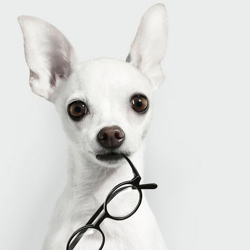 Hd-166368-ascw166368