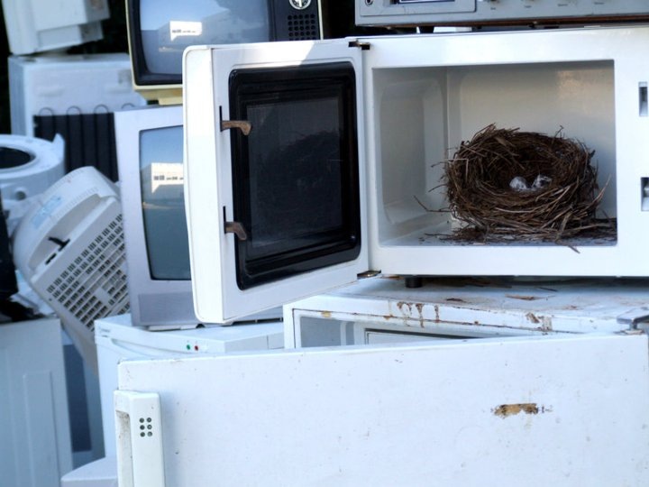 [jr1%255B5%255D.jpg]