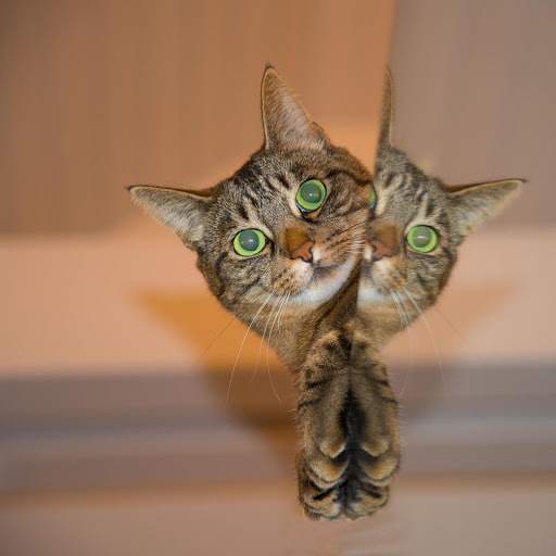 Hd-174570-ascw174570