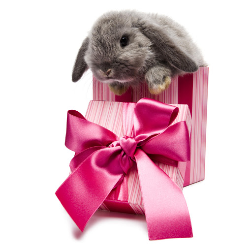 Hd-182621-ascw182621