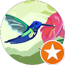 Image Google de Lili