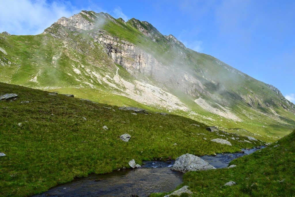 [DSC_14183.jpg]