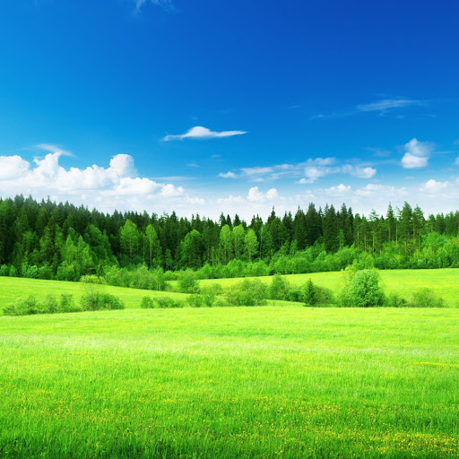 Hd-162048-ascw162048