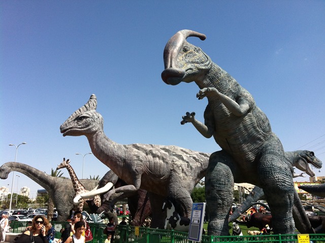 IMG_0910 IMG_0910