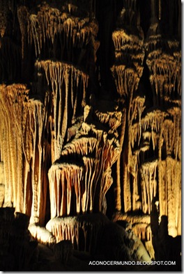 10-Cuevas del Drach - DSC_0130