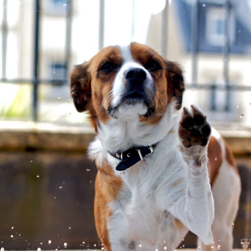 Hd-156957-ascw156957