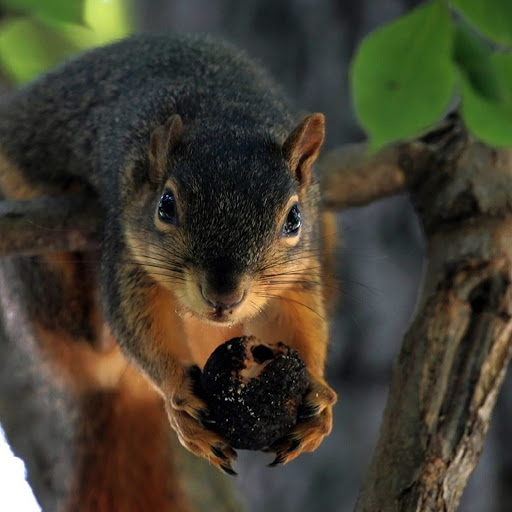 Hd-170502-ascw170502