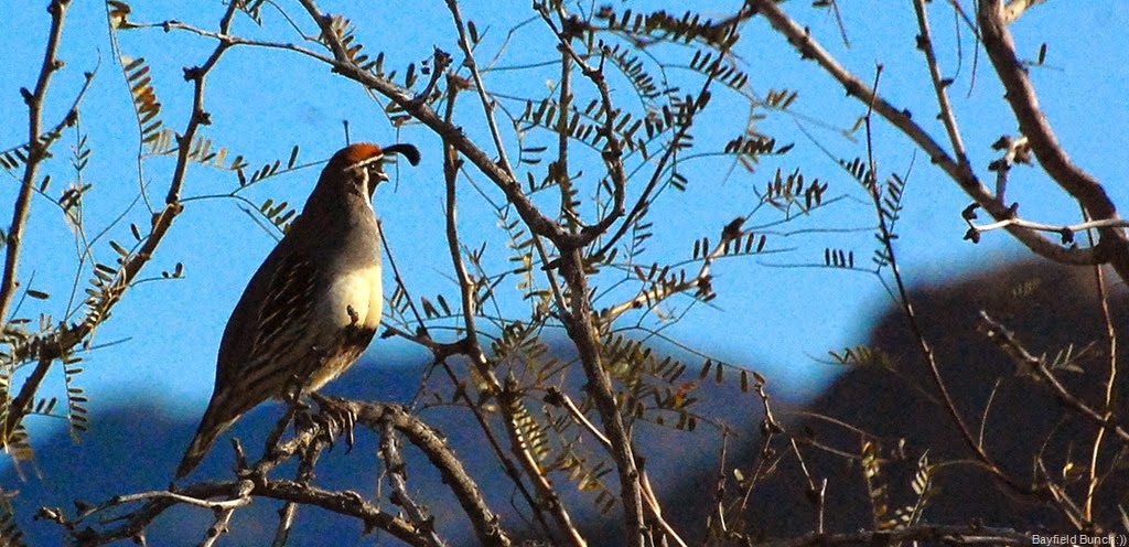 [DSC_8630%255B3%255D.jpg]