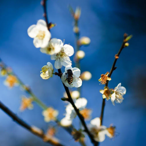 Hd-172376-ascw172376