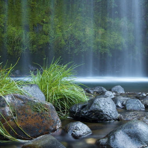 Hd-141201-ascw141201