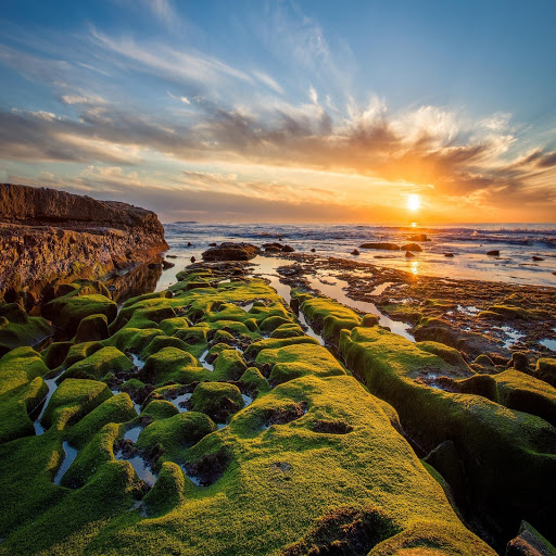 Hd-135106-ascw135106