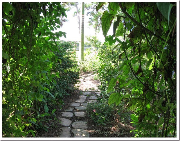 11-20-cot-garden-path