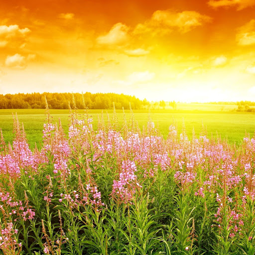 Hd-171434-ascw171434