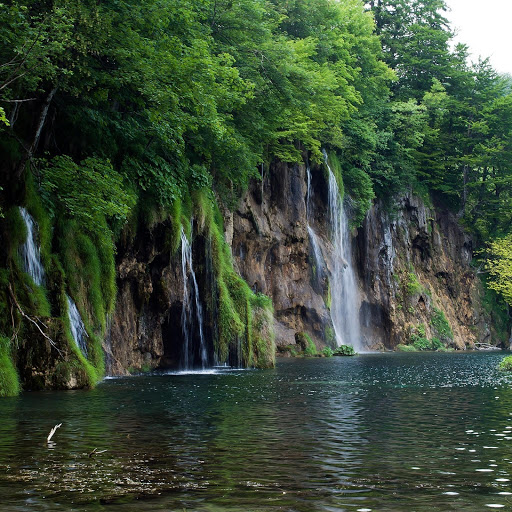 Hd-141997-ascw141997