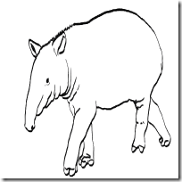 Dibujos De Tapir Para Colorear Jugar Y Colorear