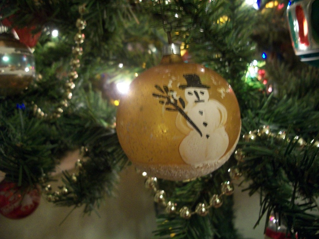 [christmas-trees-2011-0094.jpg]