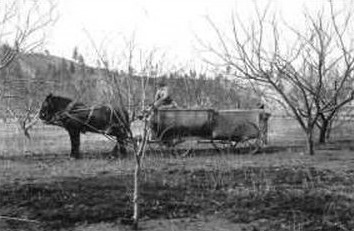 [19304.jpg]