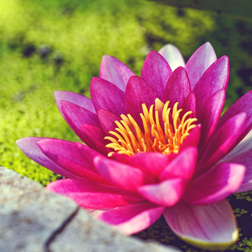 Hd-185042-ascw185042