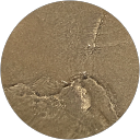 V S profile picture