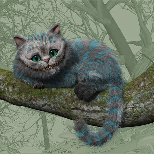 Hd-162286-ascw162286