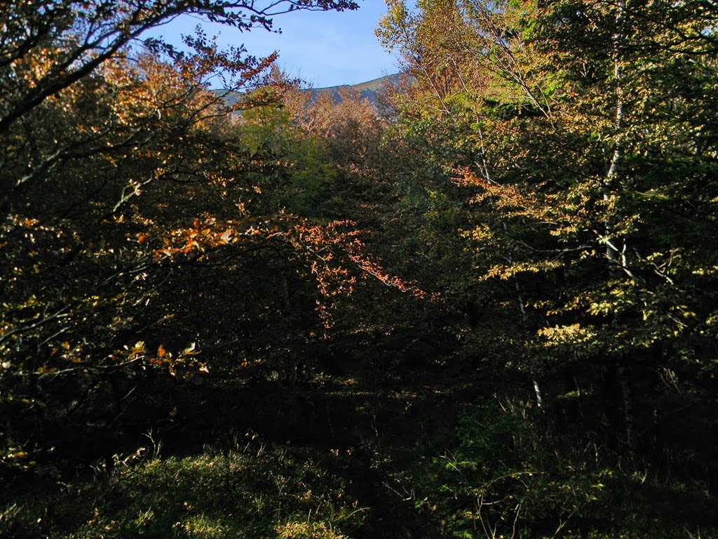 [DSCN69933.jpg]