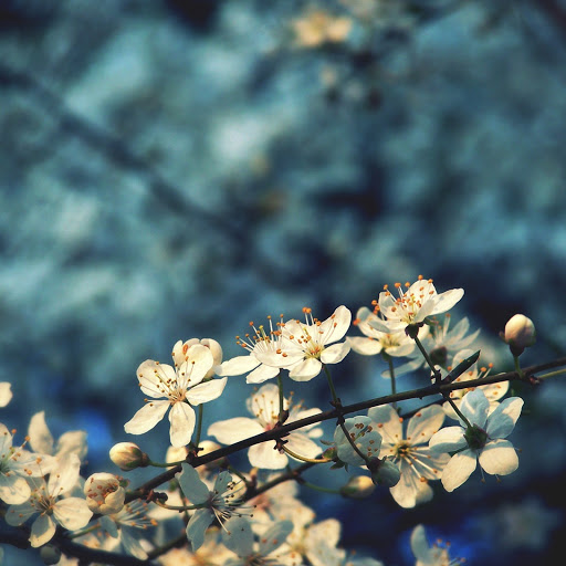 Hd-149395-ascw149395