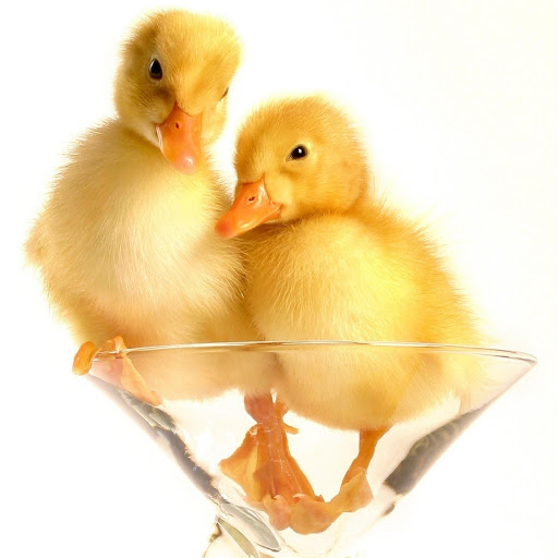 Hd-178028-ascw178028