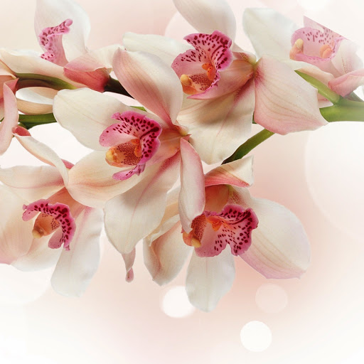 Hd-142669-ascw142669