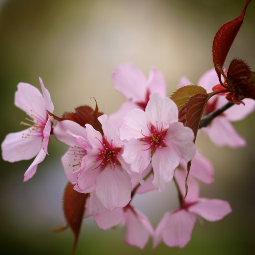 Hd-155952-ascw155952