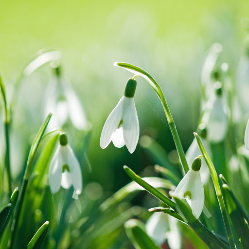 Hd-137133-ascw137133