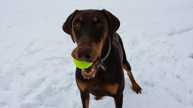 Look what I got! (Cell photo by Trisha)
