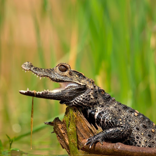 Hd-180456-ascw180456