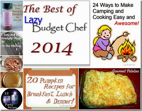 best of Lazy Budget Chef 2014 best of Lazy Budget Chef 2014