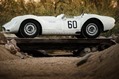 Lister-Knobbly-3