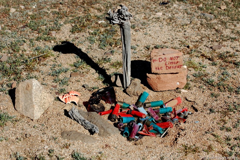 [DSC_6237%255B4%255D.jpg]