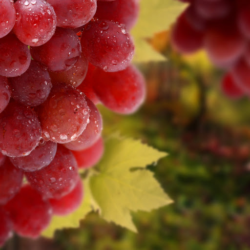 Hd-142514-ascw142514