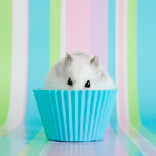 Hd-172082-ascw172082