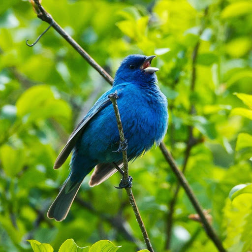 Hd-181168-ascw181168