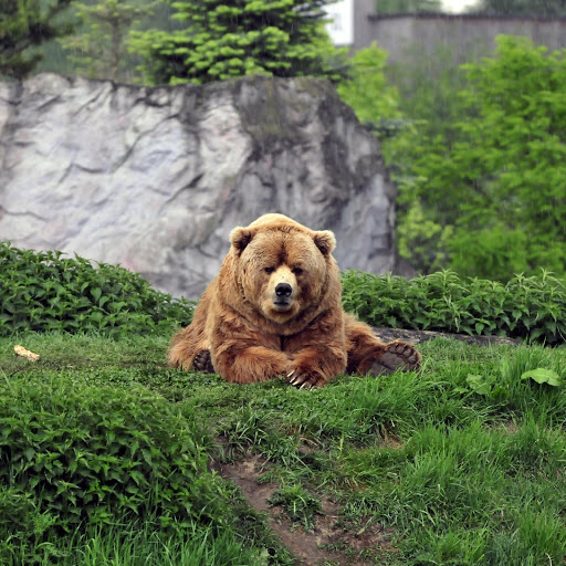 Hd-134977-ascw134977