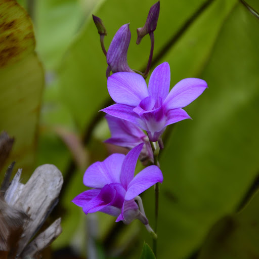 Hd-156029-ascw156029